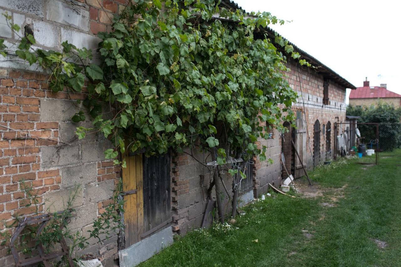 Agroturystyka Karpinscy Wizna Экстерьер фото